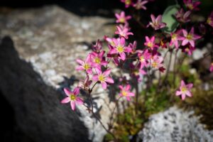 Jak dbać o poduszki ogrodowe? Pranie, przechowywanie i wodoodporne materiały.